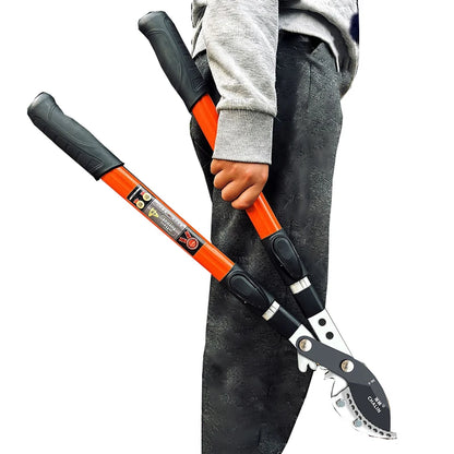 Garden Pruning Tools Gardening Fruit Trees Pruning Shears Bonsai Vegetable Pruner Metal Large Scalable Hand Tool for Pruning