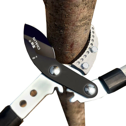 Garden Pruning Tools Gardening Fruit Trees Pruning Shears Bonsai Vegetable Pruner Metal Large Scalable Hand Tool for Pruning